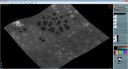 Paint Texture Maps