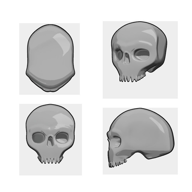 Curvy3-D-5-1-skull-sketch.jpg