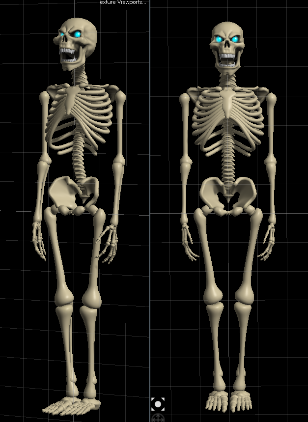 Skel2.png