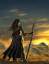 Elegant Nomad Sunrise