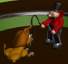 ringmaster